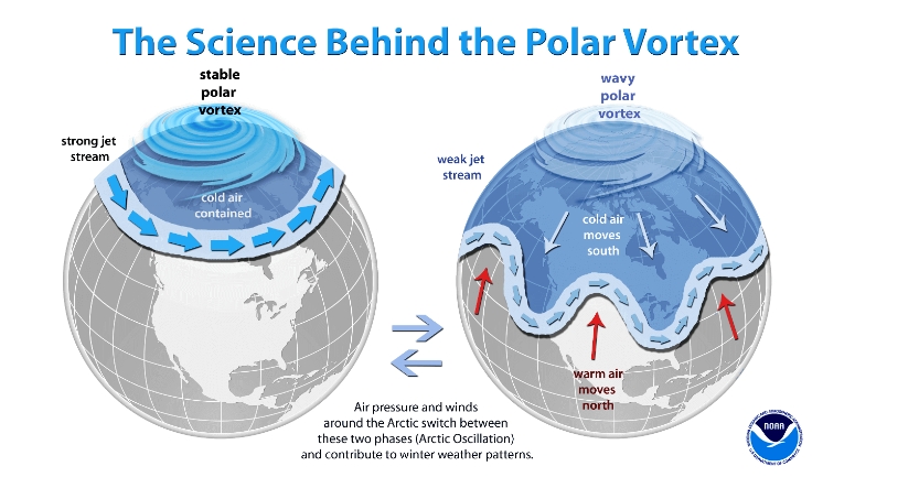Эль-Ниньо, Полярный вихрь и сильные ветра. Стоит ли ждать аномальную погоду этой зимой